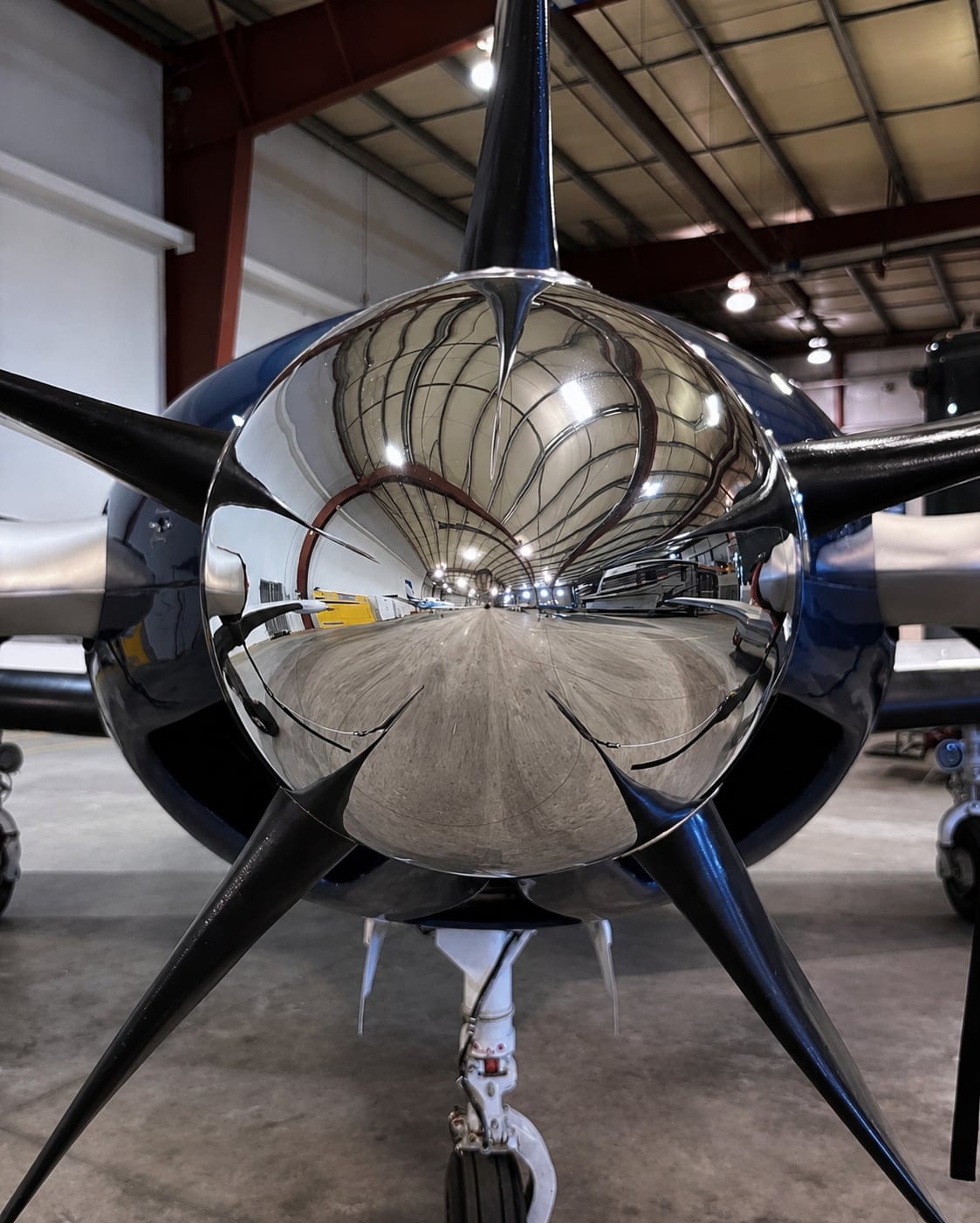 Aircraft brightwork and leading-edge polishing